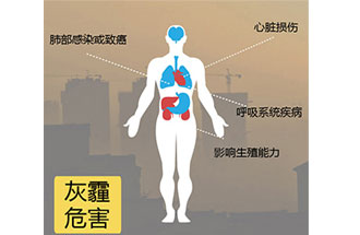 空氣中PM2.5 是由什么物質(zhì)組成的？