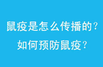 鼠疫是怎么傳播的？如何預(yù)防鼠疫？